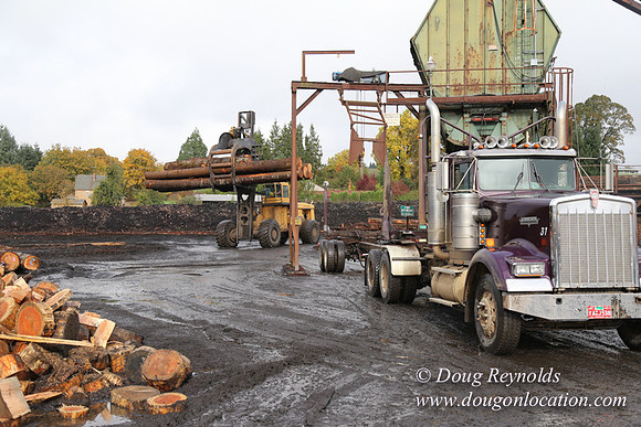 Saw Mill and Lumber Yard