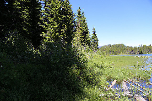 Trillium Lake-32003674