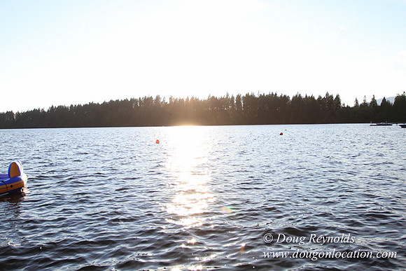 Boat, Cabin, Dock, Home, "House lake", WA, Washington, Yard, deck, "green. Beach"