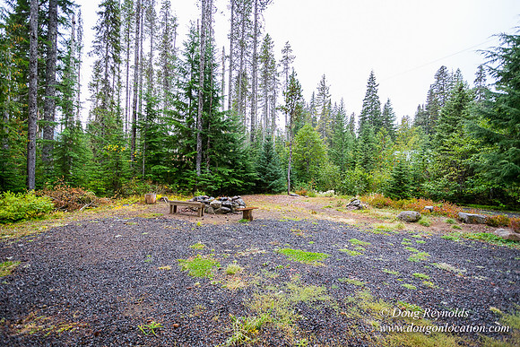 Waynes Cabin