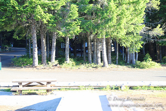 Timathy Lake-3728