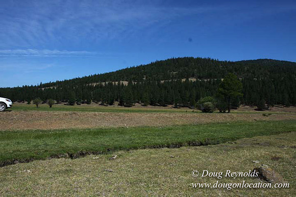 Ranch 18 South side of Hwy  has 2500 Acres of green fields Creeks water crossing Bridges on a Large Lake and miles of Dirt roads Oak trees  Forest land ATV Trails cows