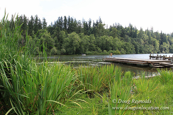 Roberts Lake House-4899