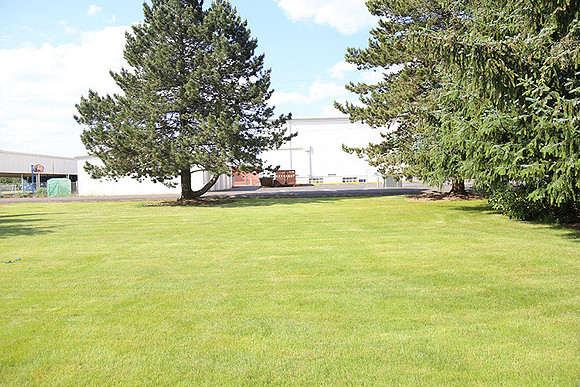 Dale's Penny Ln-4970