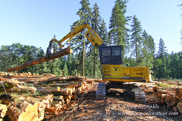 Craig Logging-3171