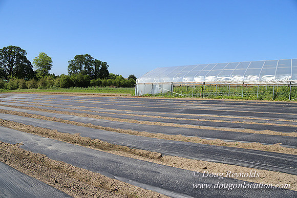Vahan's Farm & Market-5198
