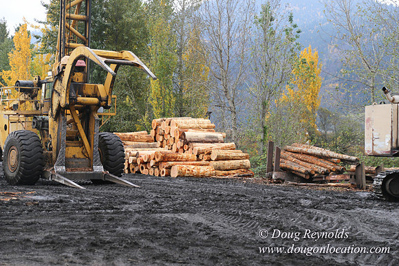 SDS Lumber-1360