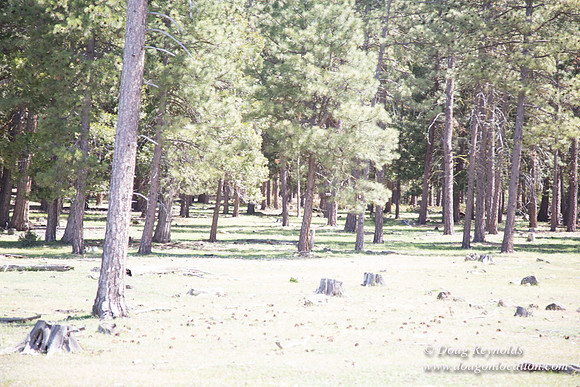 Ranch 18