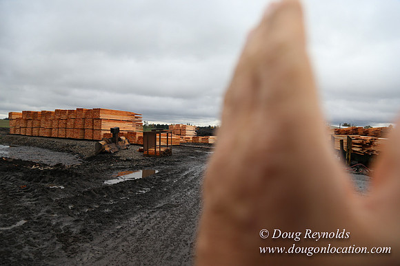 Saw Mill and Lumber Yard