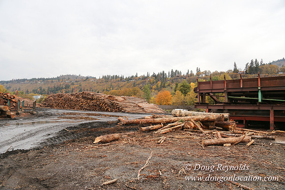 SDS Lumber-1367
