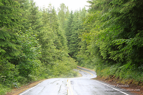 Brower Rd