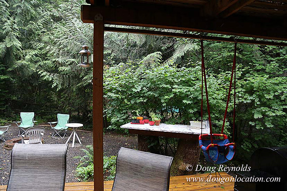 Gary's Cabin-7569