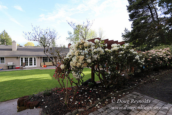 Mid Century Traditional Style Home, With a Basement, 2 car garage average sized Back Yard with Patio and Fire Pit.