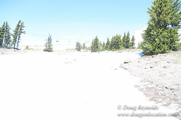 Timber Line-5357
