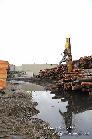 Saw Mill and Lumber Yard