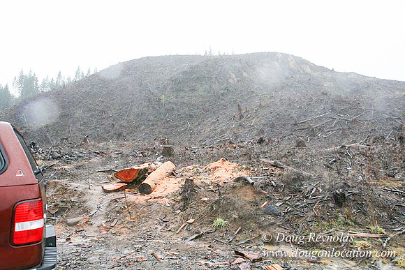 WC Clear Cut 2010-7833
