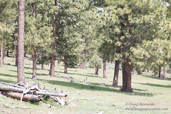 Ranch 18