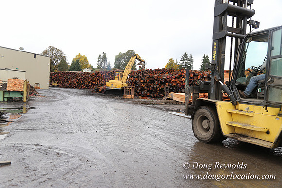 Saw Mill and Lumber Yard