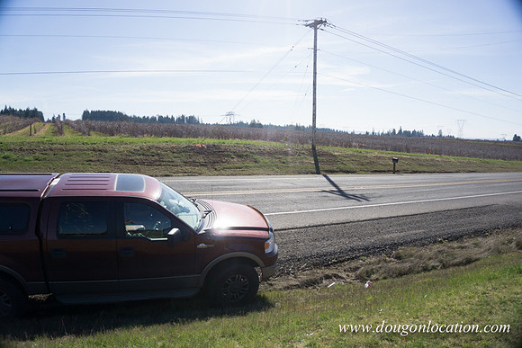 Hwy 211 Sandy-3533