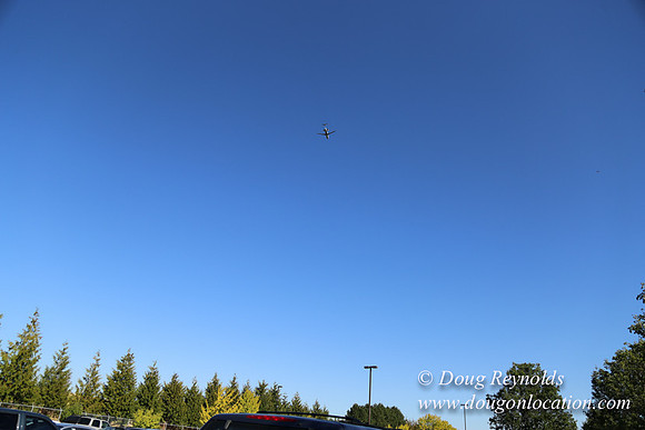 East End N Runway-5015