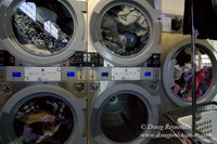 Spin Laundry-2711