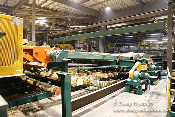 Saw Mill and Lumber Yard