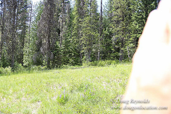 Jerry's Cabin-6662