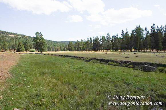Ranch 18 South side of Hwy  has 2500 Acres of green fields Creeks water crossing Bridges on a Large Lake and miles of Dirt roads Oak trees  Forest land ATV Trails cows