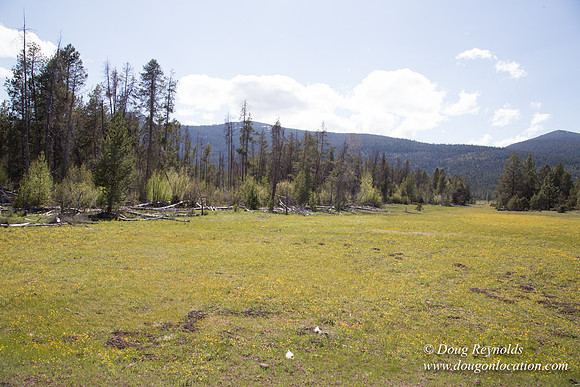 Ranch 18