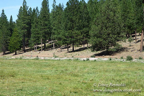 Ranch 18 South side of Hwy  has 2500 Acres of green fields Creeks water crossing Bridges on a Large Lake and miles of Dirt roads Oak trees  Forest land ATV Trails cows