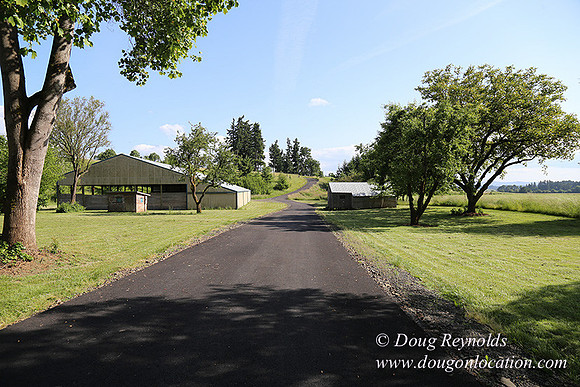 Helvetia rd at Mikes-5973