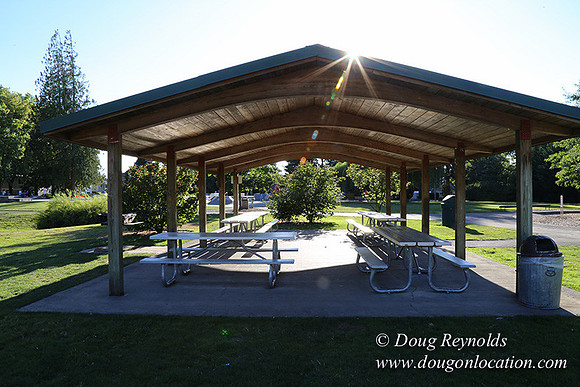 Lincoln Park-0571