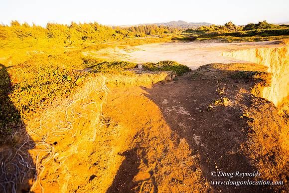 OPVPSBSP  Rock Coastal Area