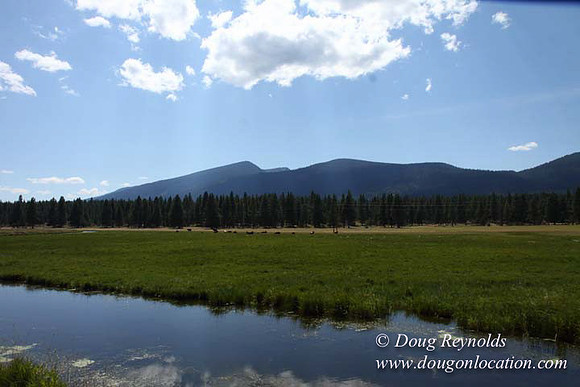 Ranch 18 South side of Hwy  has 2500 Acres of green fields Creeks water crossing Bridges on a Large Lake and miles of Dirt roads Oak trees  Forest land ATV Trails cows