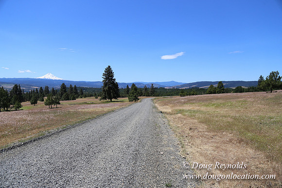 Brothers Ranch-8443