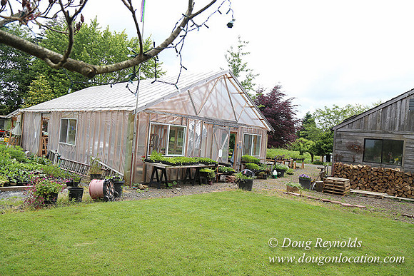 Shere's Garden Flowers & produce