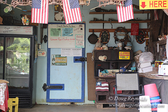 Duyck Farm Store-4884