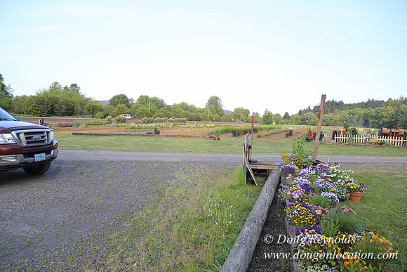 Jim Dandy Farm-5083