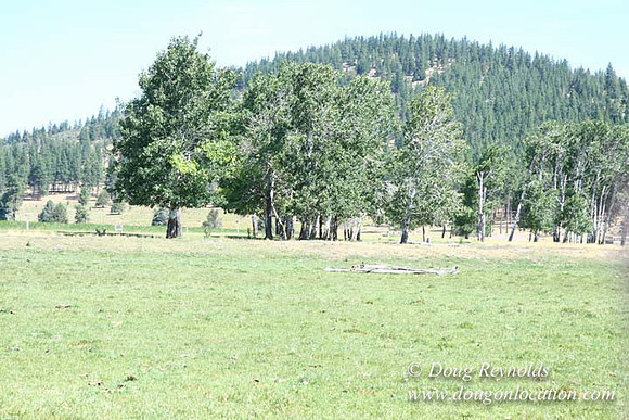2500 Acres of green fields Creeks water crossing Bridges on a Large Lake and miles of Dirt roads Oak trees Forest land ATV Trails cows