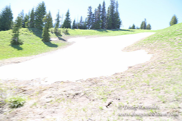 Medow's Snow-5792