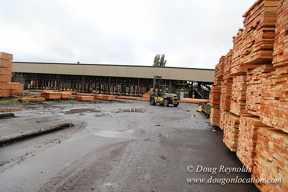 Saw Mill and Lumber Yard