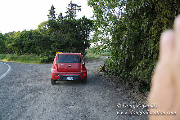 Mountaindale Rd-6425
