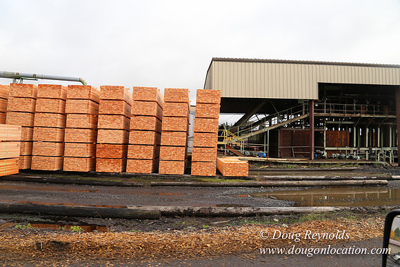 Saw Mill and Lumber Yard