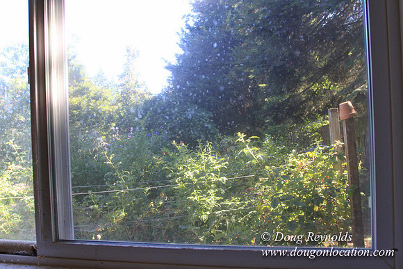 Traditional Style Home small farm with large kitchen great room, 2 story, 2 car garage on Acreage with large back yard, large front yard, garden, pond, deck, goats, bees, shop, PDX Zone