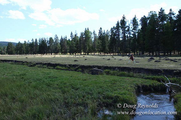 Ranch 18 South side of Hwy  has 2500 Acres of green fields Creeks water crossing Bridges on a Large Lake and miles of Dirt roads Oak trees  Forest land ATV Trails cows