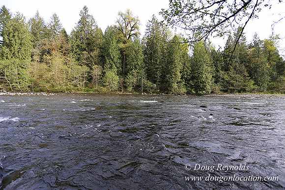 Brians River Side-0016