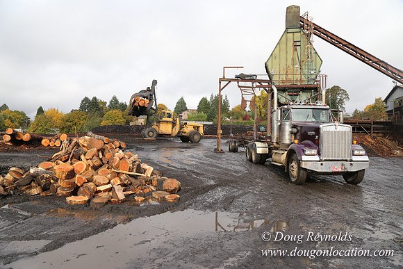 Saw Mill and Lumber Yard