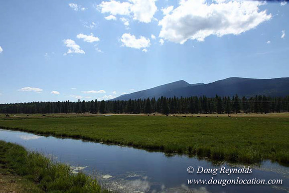 Ranch 18 South side of Hwy  has 2500 Acres of green fields Creeks water crossing Bridges on a Large Lake and miles of Dirt roads Oak trees  Forest land ATV Trails cows