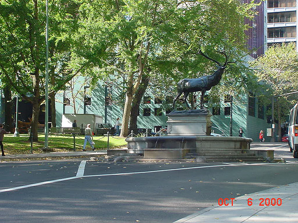 Randum Portland