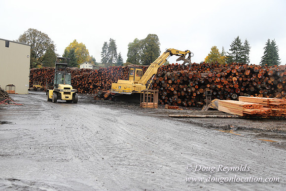 Saw Mill and Lumber Yard